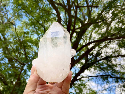 Inner Child Lemurian Seed Quartz