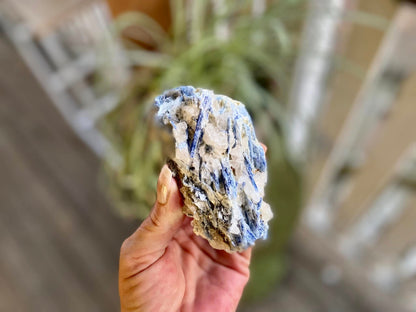 Blue Kyanite Blade Cluster with Quartz