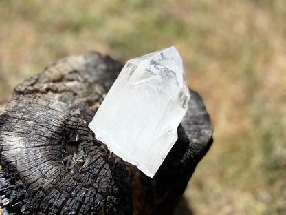 Lemurian Seed Ascending Cathedral Channeler