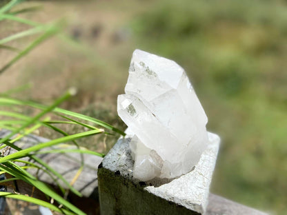 Inner Child Lemurian Seed Quartz