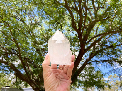 Lemurian Seed Ascending Cathedral Channeler