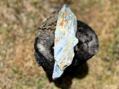 Blue Kyanite Blade Cluster with Quartz and Mica