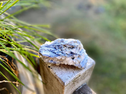 Blue Kyanite Blade Cluster with Quartz