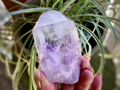 Brandberg Enhydro Amethyst Lemurian Seed Quartz AAA Quality
