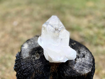 Inner Child Lemurian Seed Quartz
