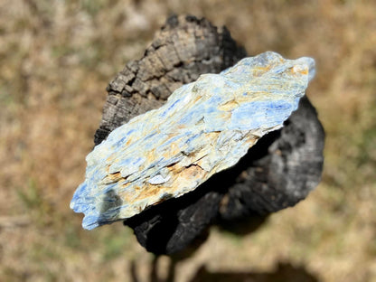 Blue Kyanite Blade Cluster with Quartz and Mica