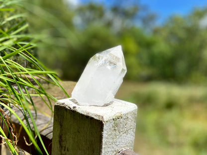 Lemurian Seed Ascending Cathedral Channeler