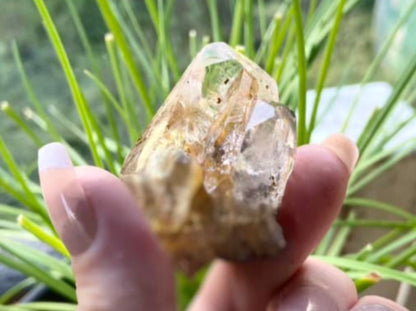 Herkimer Diamond with Record Keeper |  High-Vibrational Attunement | 47g