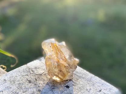 Herkimer Diamond with Record Keeper |  High-Vibrational Attunement | 47g