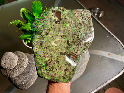 Stunning Gigantic Australian Andamooka Treated Opal Slab