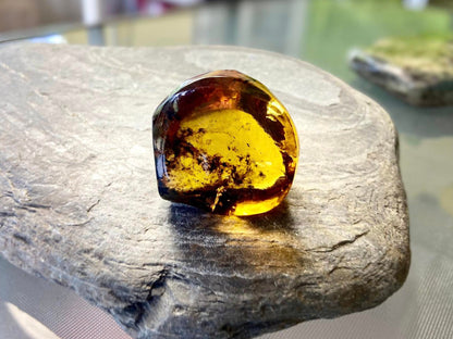 Polished Honey Amber (full of bugs) UV Sensitive
