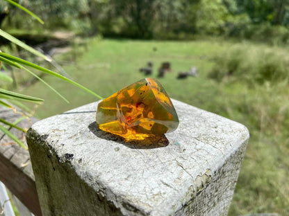 Polished Honey Amber (full of bugs) UV Sensitive