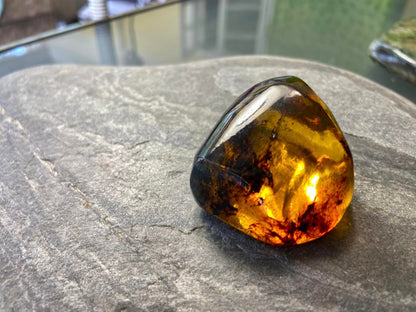 Polished Honey Amber (full of bugs) UV Sensitive