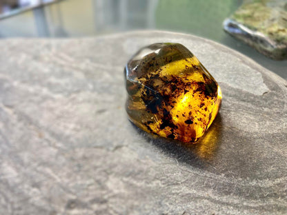 Polished Honey Amber (full of bugs) UV Sensitive