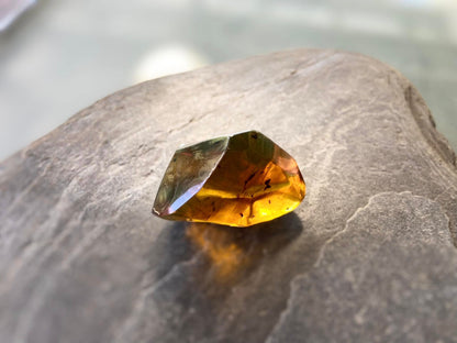 Polished Honey Amber (full of bugs) UV Sensitive