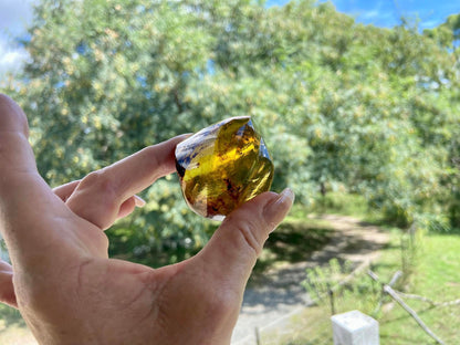 Polished Honey Amber (full of bugs) UV Sensitive