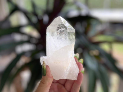 Lemurian Seed Ascending Cathedral Channeler A+ Grade