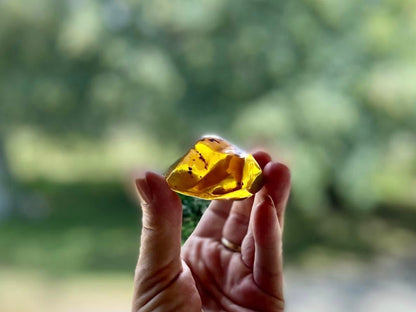 Polished Honey Amber (full of bugs) UV Sensitive