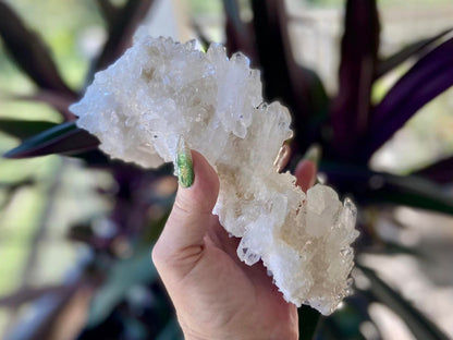 Lemurian Seed Mini Point Cluster AAA+ Grade
