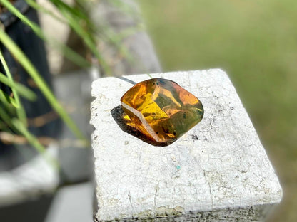 Polished Honey Amber (full of bugs) UV Sensitive