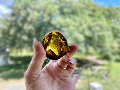 Polished Honey Amber (full of bugs) UV Sensitive