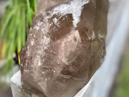 Smokey Citrine Lemurian Seed Quartz Standing Phantom Dolphin Cluster