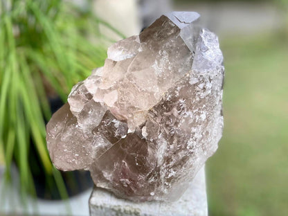 Smokey Citrine Lemurian Seed Quartz Standing Phantom Dolphin Cluster