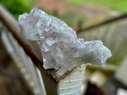 Lemurian Seed Quartz Cluster AAA+++ "Dove"