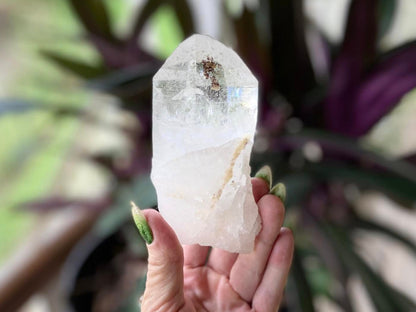 Lemurian Seed Ascending Cathedral Channeler A+ Grade