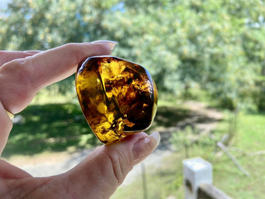 Polished Honey Amber (full of bugs) UV Sensitive