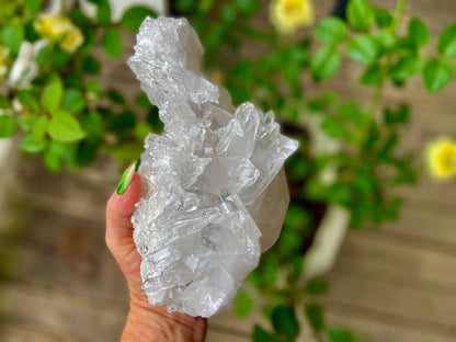 Lemurian Seed Quartz Cluster AAA+++ "Dove"