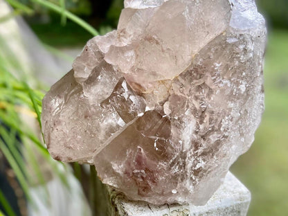 Smokey Citrine Lemurian Seed Quartz Standing Phantom Dolphin Cluster