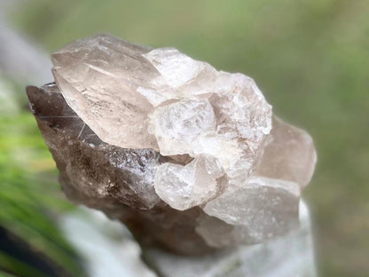 Smokey Citrine Lemurian Seed Quartz Standing Phantom Dolphin Cluster