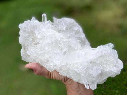 Lemurian Seed Quartz Cluster A+ Grade