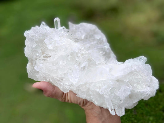 Lemurian Seed Quartz Cluster A+ Grade