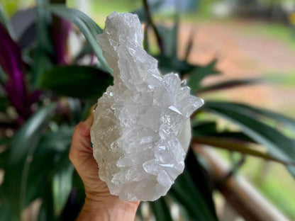 Lemurian Seed Quartz Cluster AAA+++ "Dove"