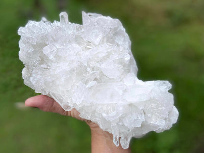 Lemurian Seed Quartz Cluster A+ Grade