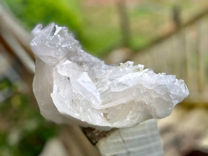 Lemurian Seed Quartz Cluster AAA+++ "Dove"