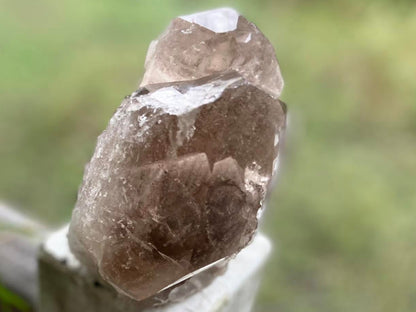 Smokey Citrine Lemurian Seed Quartz Standing Phantom Dolphin Cluster