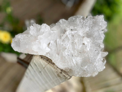 Lemurian Seed Quartz Cluster A+ Grade