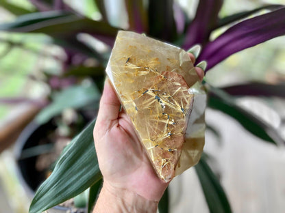 Rutile Quartz with Hematite Rutile Stars Polished Freeform