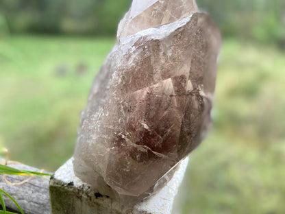 Smokey Citrine Lemurian Seed Quartz Standing Phantom Dolphin Cluster