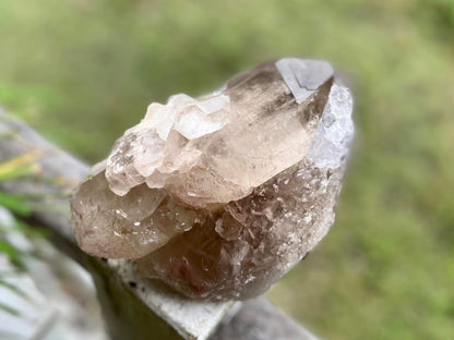 Smokey Citrine Lemurian Seed Quartz Standing Phantom Dolphin Cluster