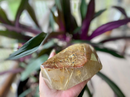 Rutile Quartz with Hematite Rutile Stars Polished Freeform