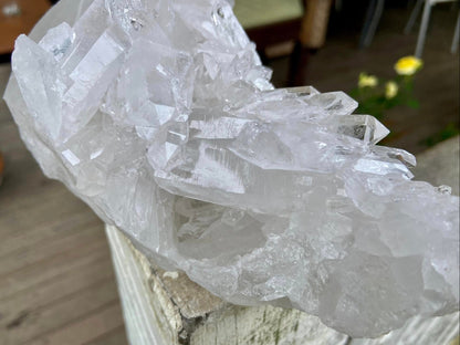 Lemurian Seed Quartz Cluster AAA+++ "Dove"
