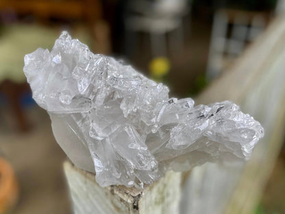 Lemurian Seed Quartz Cluster AAA+++ "Dove"