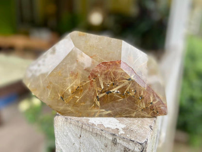 Rutile Quartz with Hematite Rutile Stars Polished Freeform