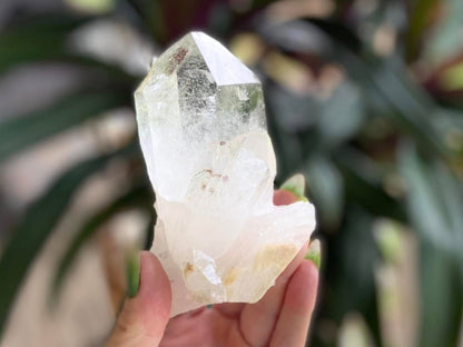 Lemurian Seed Ascending Cathedral Channeler A+ Grade