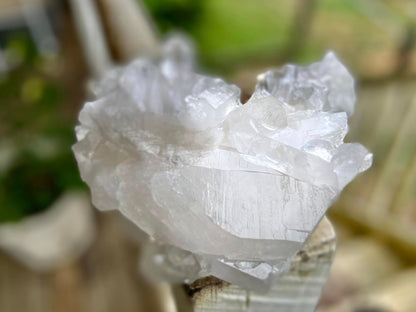 Lemurian Seed Quartz Cluster AAA+++ "Dove"