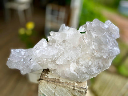 Lemurian Seed Quartz Cluster AAA+++ "Dove"